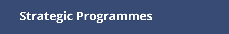 Strategic Programmes