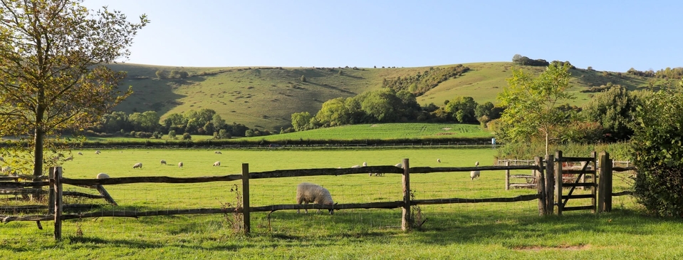 ‘Rural and fruitful’: Rural Conference explores the future of ...