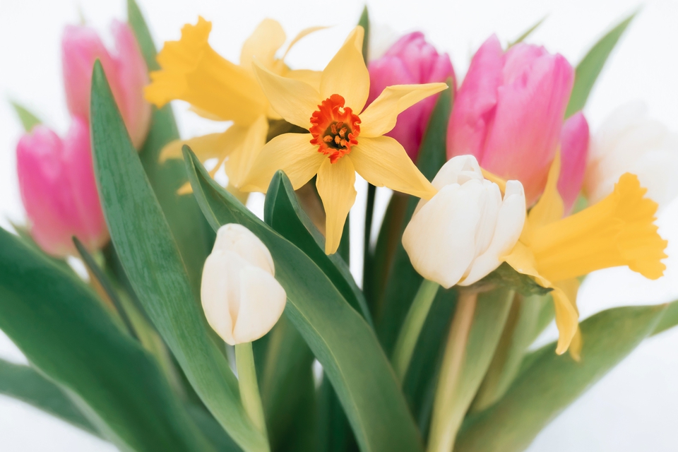 History Of Mothering Sunday And Resources For Your Church Diocese Of Chichester